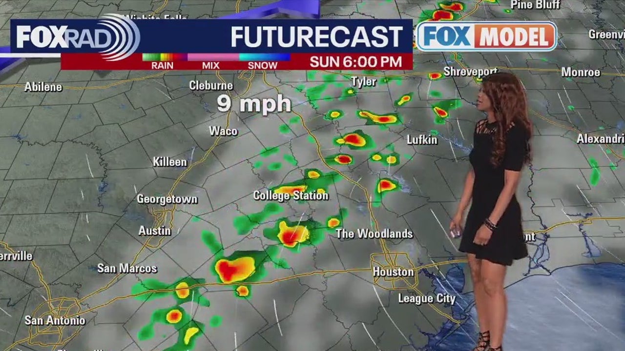 Houston Weather Forecast