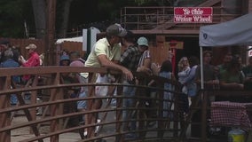 Many celebrate fall-like Labor Day at Franklin Cider Mill