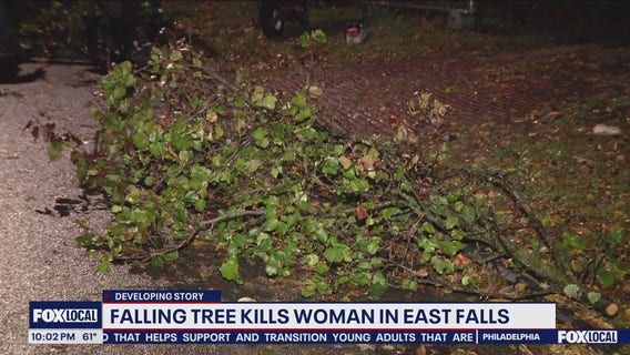 Tree crushes car, kills woman in Philly storm