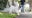 Thornton Park hosting two-week celebration for Lulu the Cat
