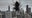 Spider on camera lens disrupts Fox 32 skyline shot: 'Don't look'