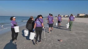 Clearing litter and debris from Pinellas beaches