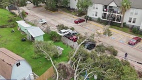 Who should remove fallen tree at Seabrook apartment