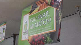SNAP benefits pause: Gov. Hobbs considers options