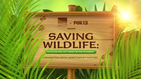 Saving Wildlife: Coexisting with Northwest Nature