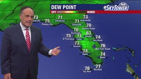 Tampa weather | Hot with increasing humidity