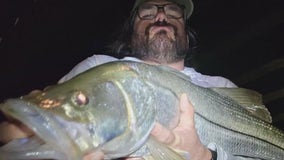 Pressure change, full moon lead to great fishing