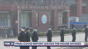 Final COVID report leaves House divided