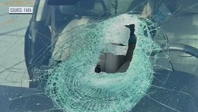 Object crashes through windshield, nearly hits driver in freak accident on I-95