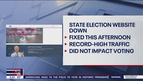 Election website crash didn't impact voting: officials