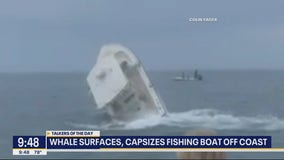 Talkers: Whale sinks fishing boat after surfacing