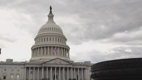 Federal worker union pressures Dems to end shutdown