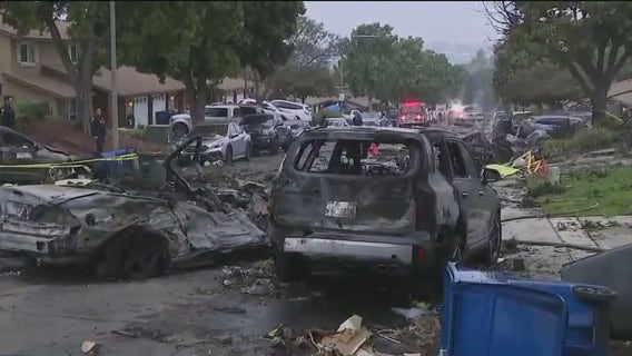 2 victims identified in deadly San Diego plane crash