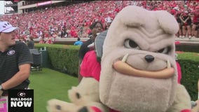 Bulldogs Now September 13, 2025