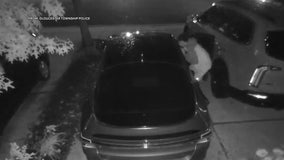 Car thieves target another NJ neighborhood as police issue warning