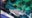 Shedd Aquarium introduces Chicago to the rare 'Shark Ray' | ChicagoNOW