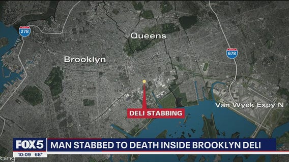 Man stabbed to death inside Brooklyn deli; suspect on the run
