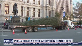 Philly Christmas tree arrives