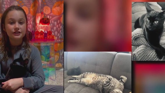 9-year-old Houston girl on a mission to help pets displaced by Hurricane Helene