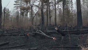 MN wildfires: Cabin owners survey damage