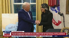 Tulsi Gabbard says more than 100 intelligence officers to be fired over sexually explicit chats