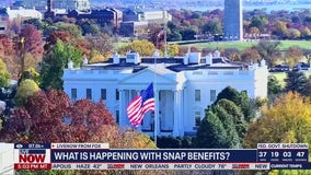 SNAP funding fight: Trump appeals to Supreme Court