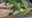 Tzatziki chicken salad recipe from Tierra Neubaum