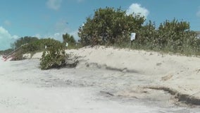 Electrifying sand could help stop beach erosion