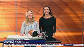 Pet of the day with Paws Atlanta
