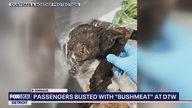 Monkey meat found by Border Protection in luggage at Detroit Metro Airport