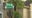 2 detained after shots fired in Lake Nona neighborhood