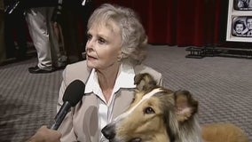 June Lockhart: Legendary actress known for 'Lassie' and 'Lost in Space' dies at 100