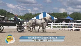 Hoof Beats Express at the Waukesha County Fair