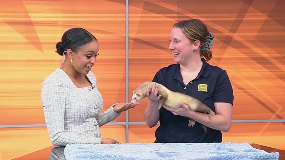 Summer fun coming to Zoo Atlanta