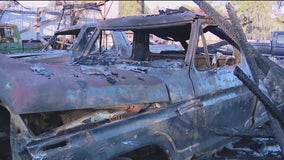 Multiple vehicles, boats burned in Plant City controlled burn turned brush fire: HCFR