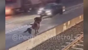 Woman thrown towards traffic by man