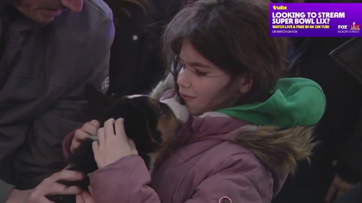 Brooklyn hosts 'Puppy Bowl' watch party
