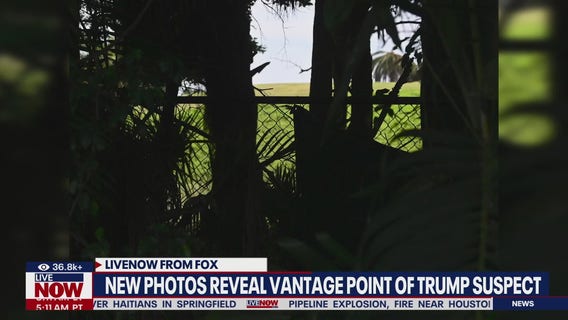 Photos: Failed Trump assassin's vantage point was no secret – paparazzi have staked out tree line for years