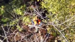 Hunter lost in Jackson marsh; tech helps find him