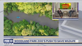 Woodland Park Zoo's push to save wildlife