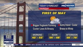Cooler, breezy