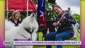 Petpalooza returns to Auburn on May 17