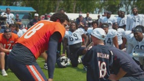 Chicago Bears celebrate young fan's victory over cancer