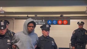 Suspect charged in random subway push. Who is he?