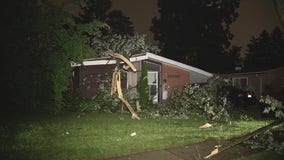 Widespread storm damage in Metro Detroit