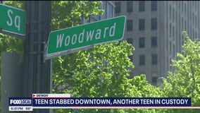 Teen stabbed at Campus Martius Park in Detroit, expected to survive