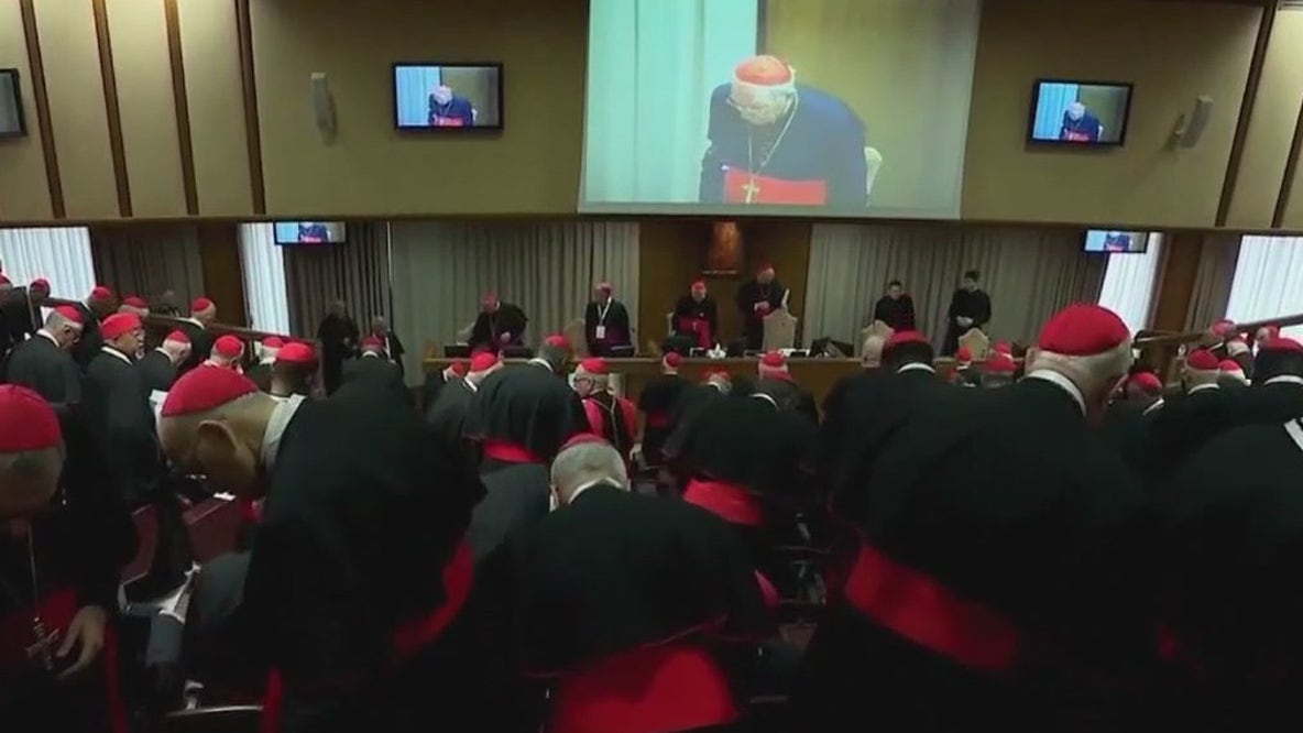 Conclave: Growing ideological divide over electing new pope