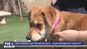 Talkers: Watch movies with your pet vs. partner