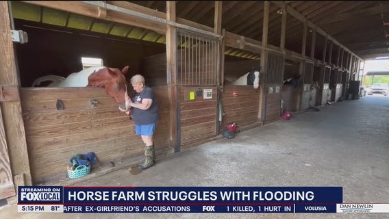Special needs horse therapy center in Cocoa struggling with flooding: 'Really hard'