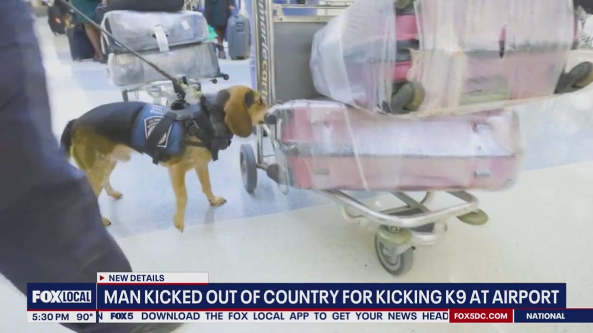Man kicked out of US for kicking police K9 at IAD airport